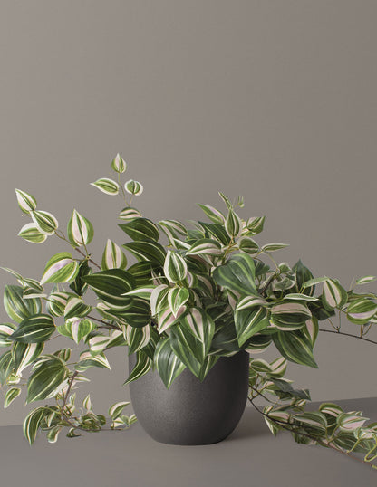 Faux Tradescantia Zebrina