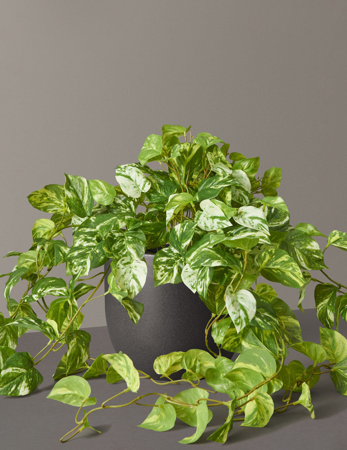 pothos fake plant Artificial Pothos Plant