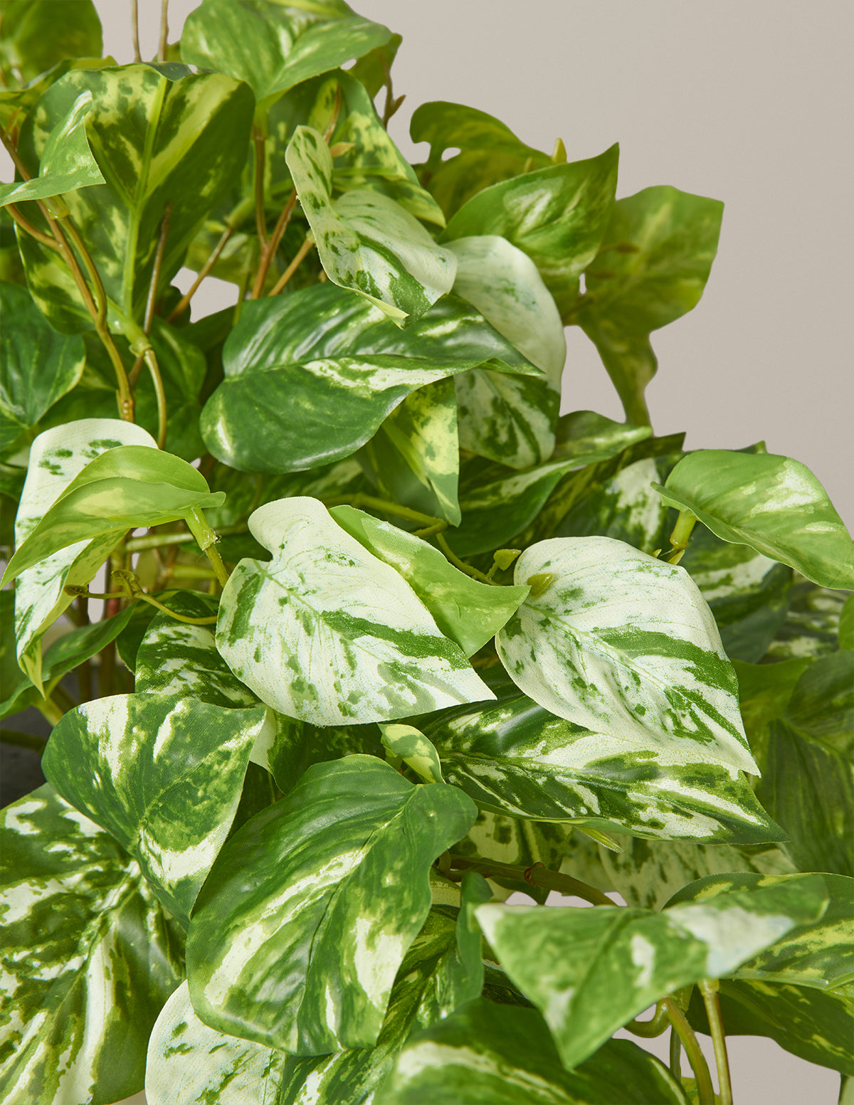 Artificial Pothos Plant