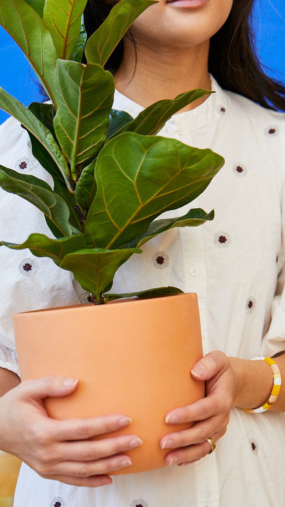Grant Ceramic Planter