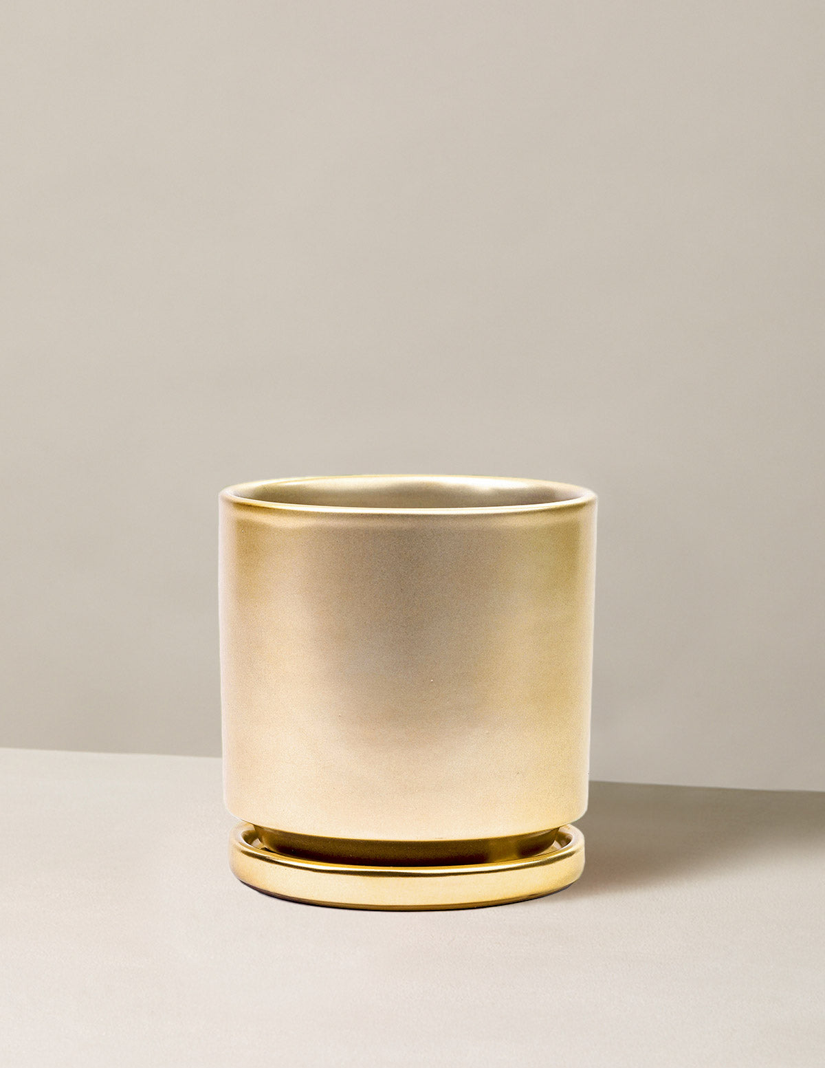 Isabella Ceramic Planter