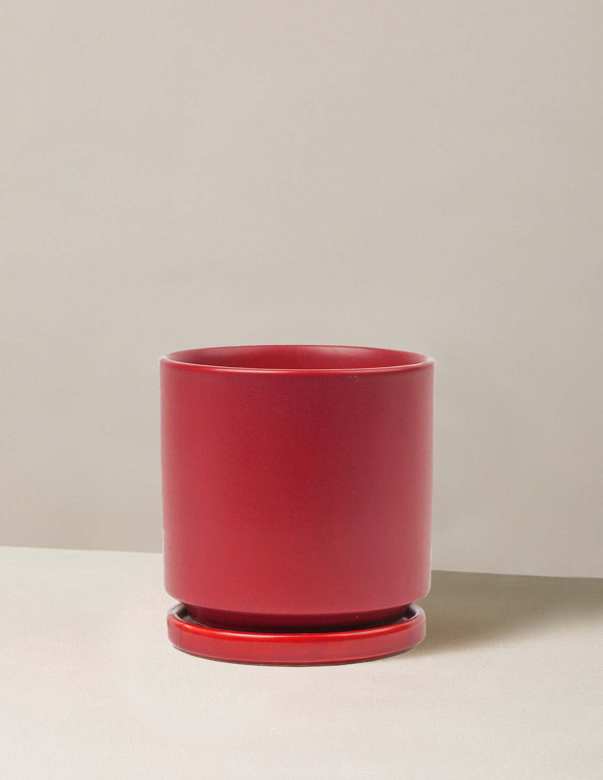 Isabella Ceramic Planter