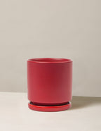 bundle | Red