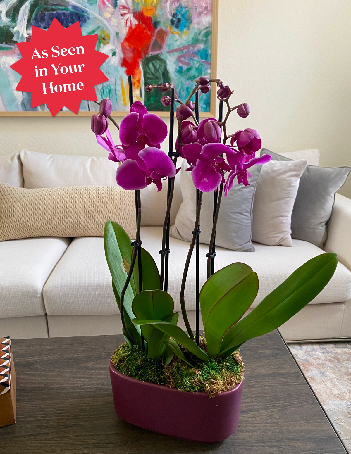 Large Double Orchid