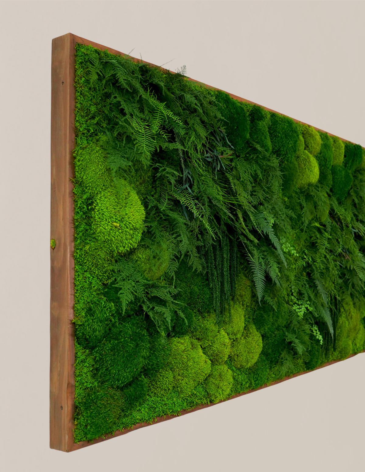 Large Preserved Living Wall