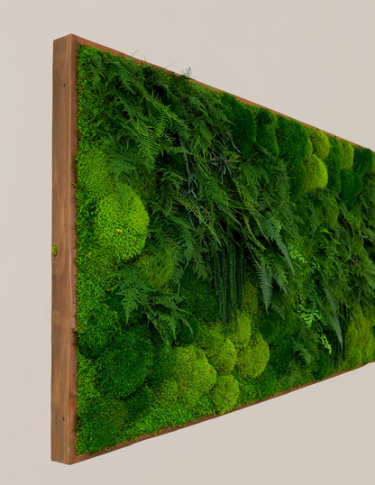 Large Preserved Living Wall
