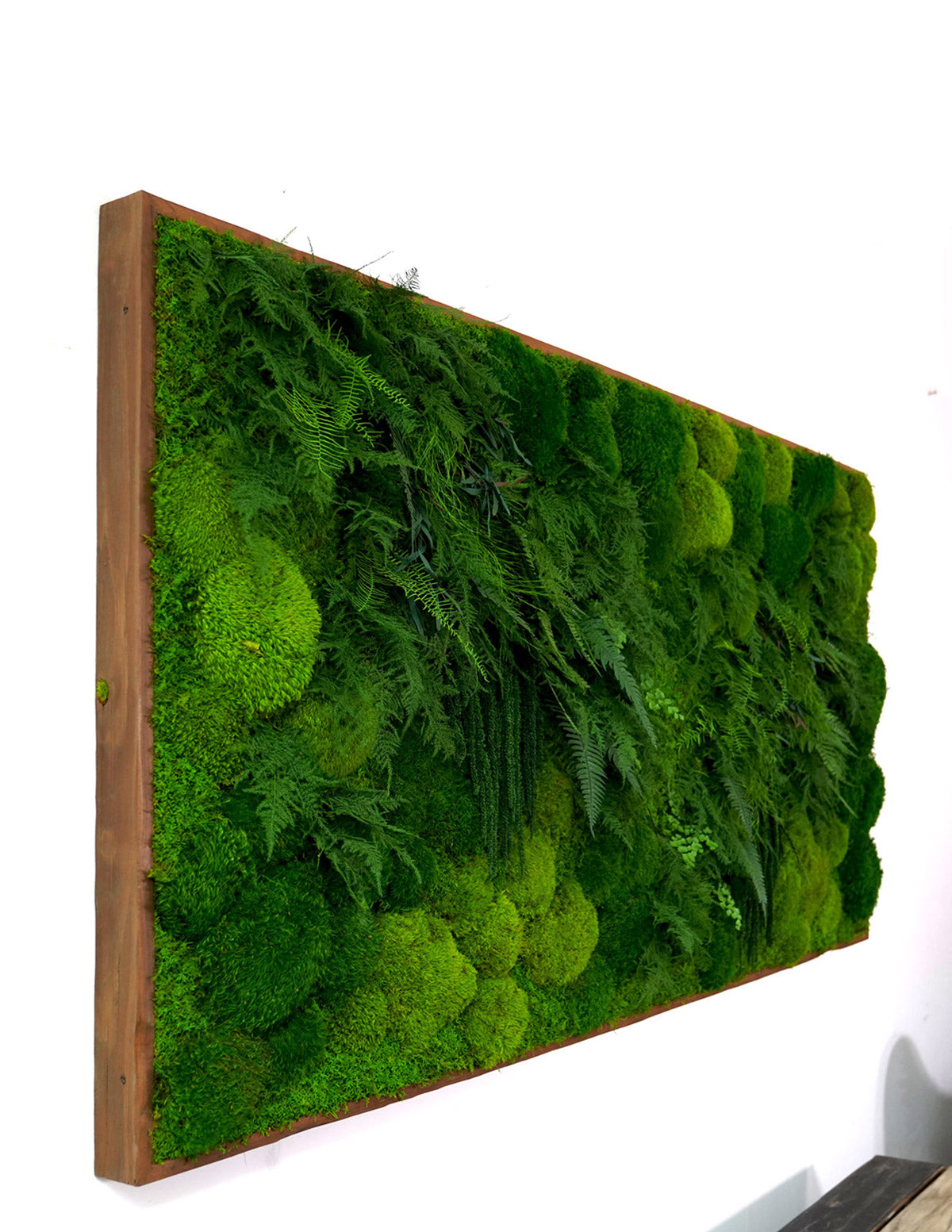 Large Preserved Living Wall