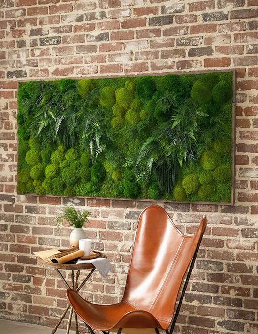 Large Preserved Living Wall