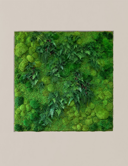 Giant Preserved Living Wall