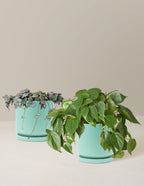 bundle | Medium | Isabella | Sea Glass