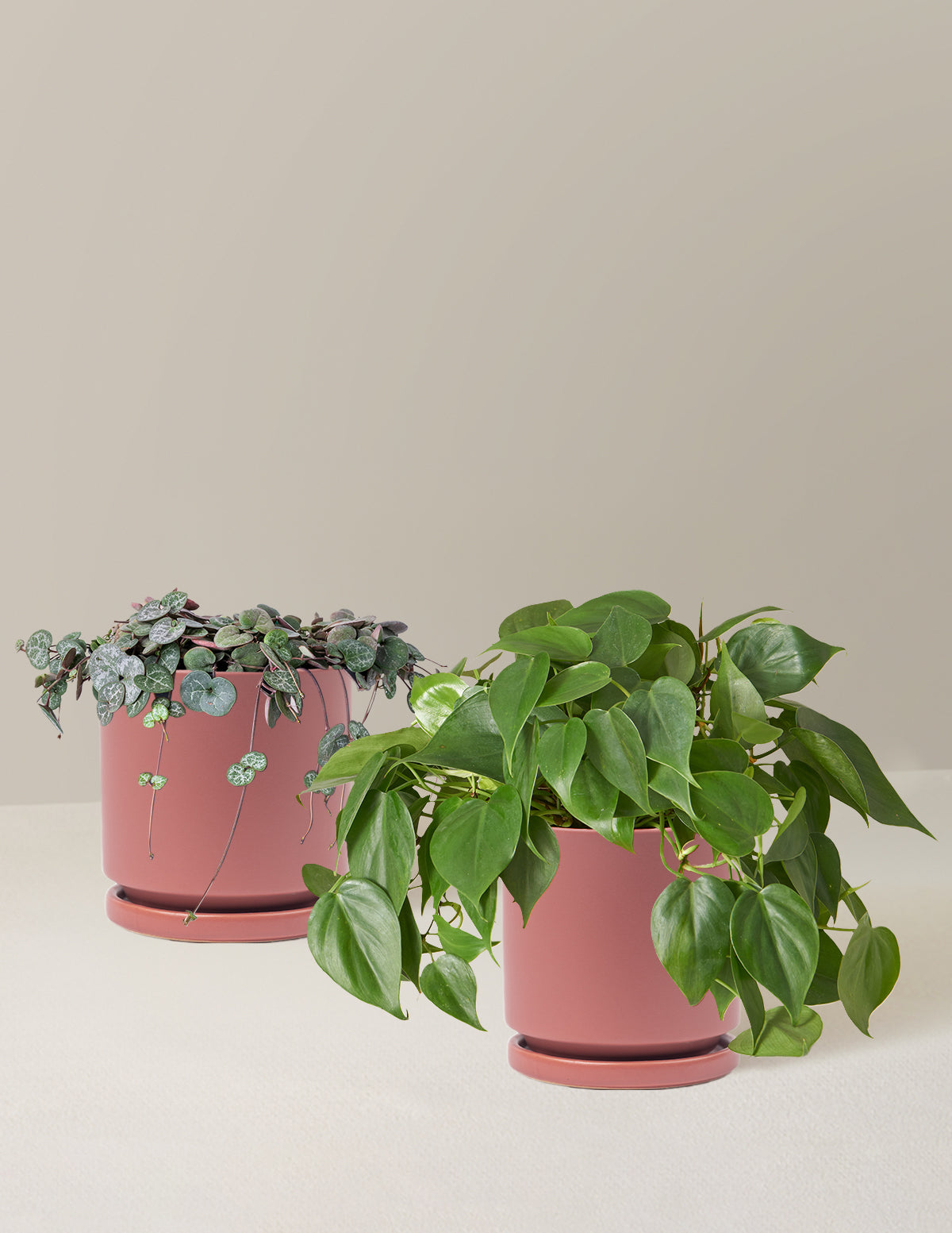 bundle | Medium | Isabella | Dusty Rose
