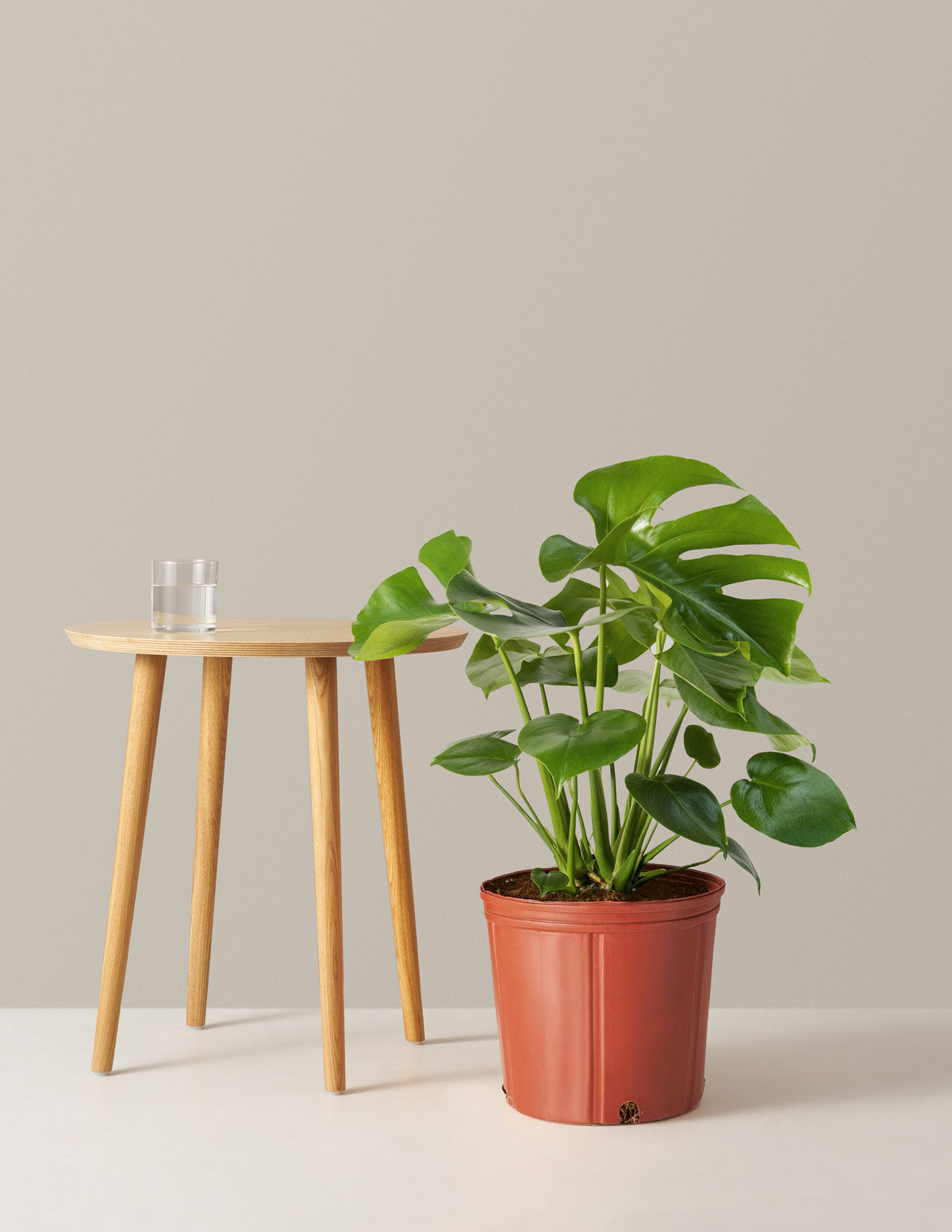 bundle | Large | Grow Pot