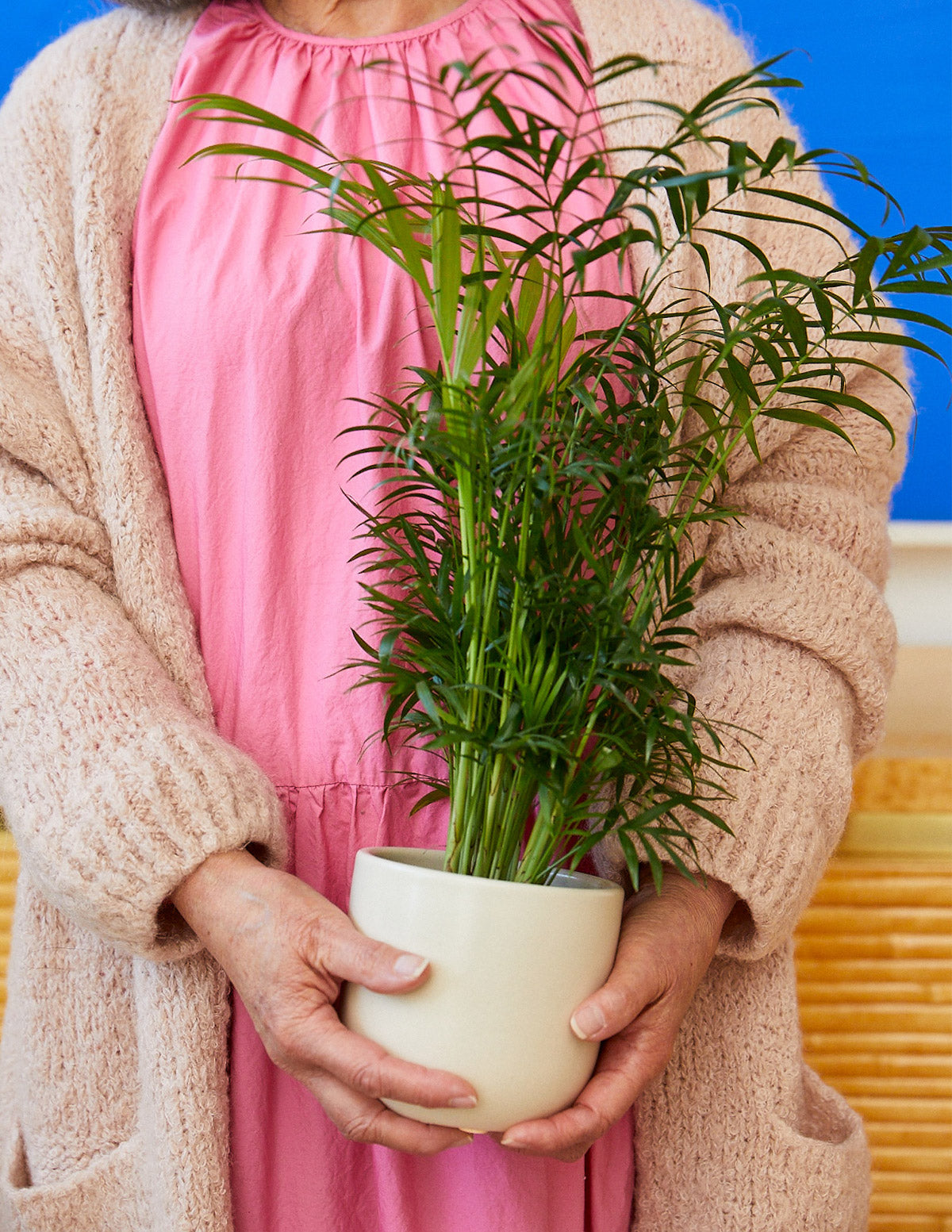 Grant Ceramic Planter