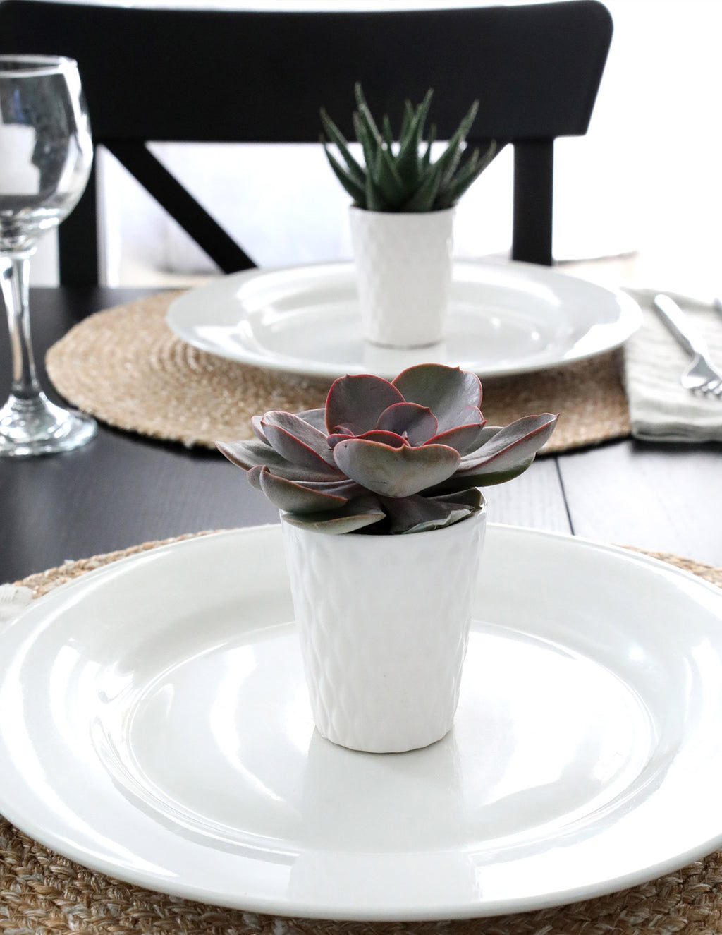 Mega Mini Succulent Party Pack, 20