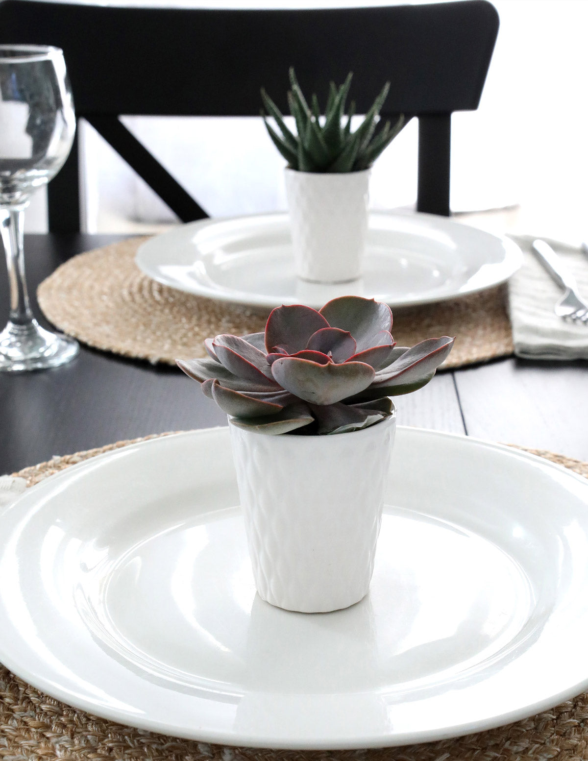 Mega Mini Succulent Party Pack, 20