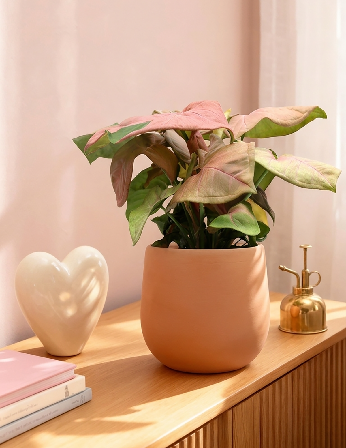 Pink Arrowhead Plant