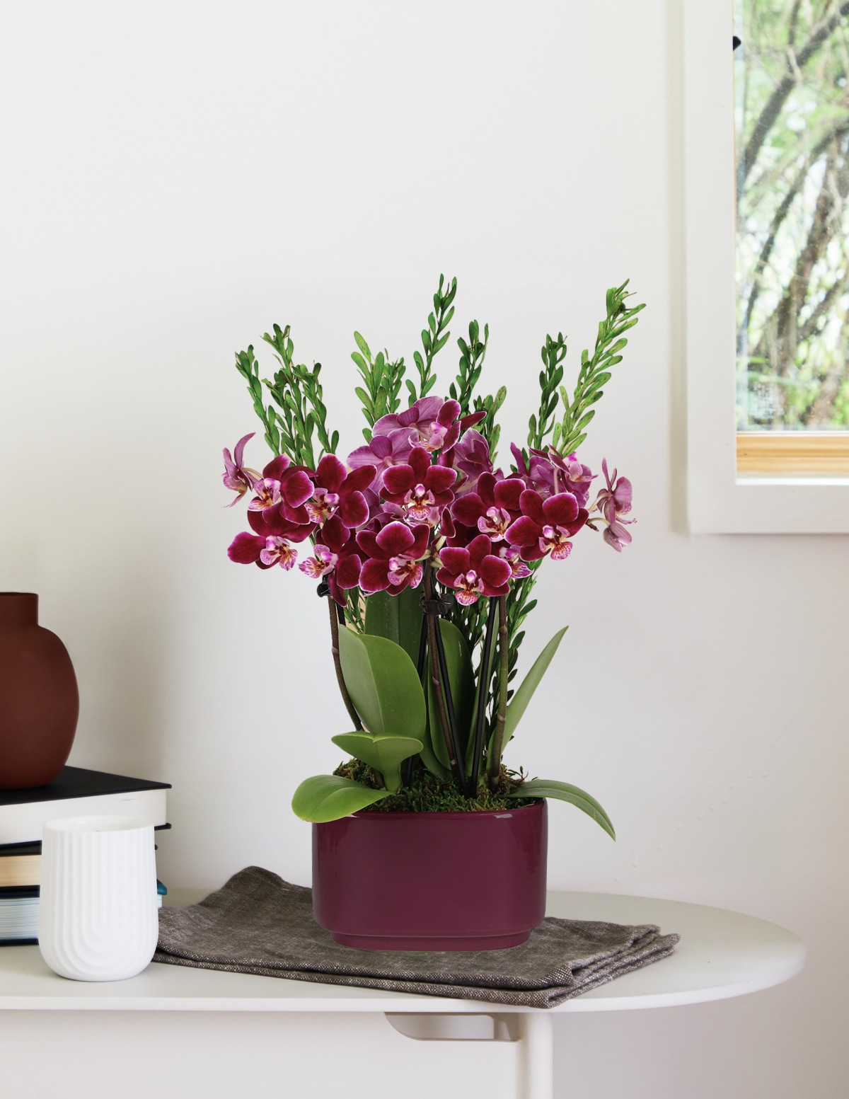 Small Double Orchid