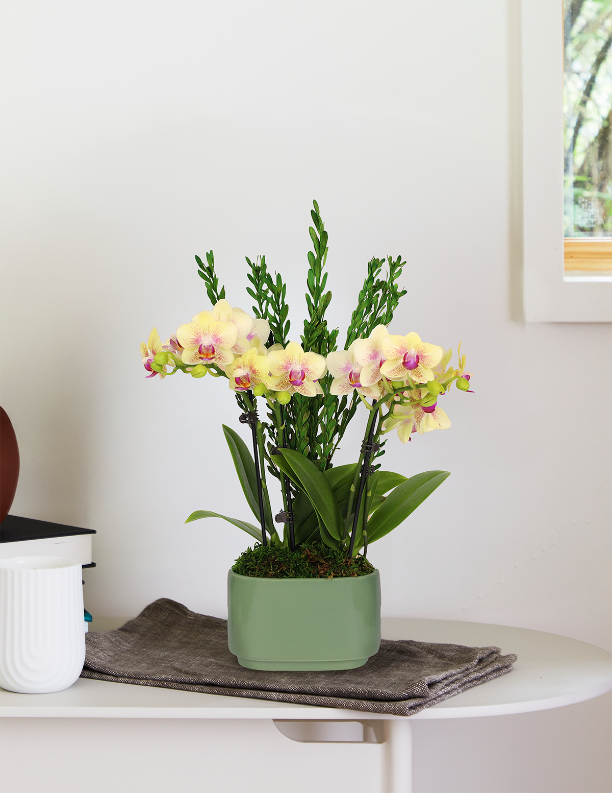 Small Double Orchid