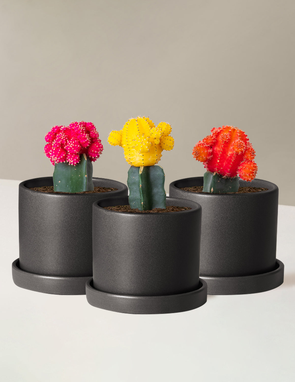 bundle | Tricolor Trio | Hyde | Black