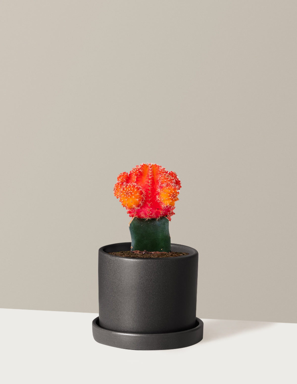bundle | Orange | Hyde | Black