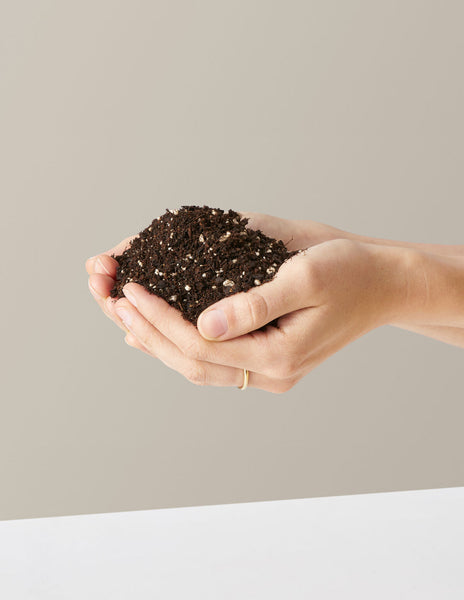 searles premium potting mix Premium Potting Mix