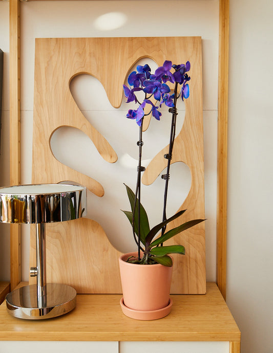 Dark Purple Watercolor Orchid