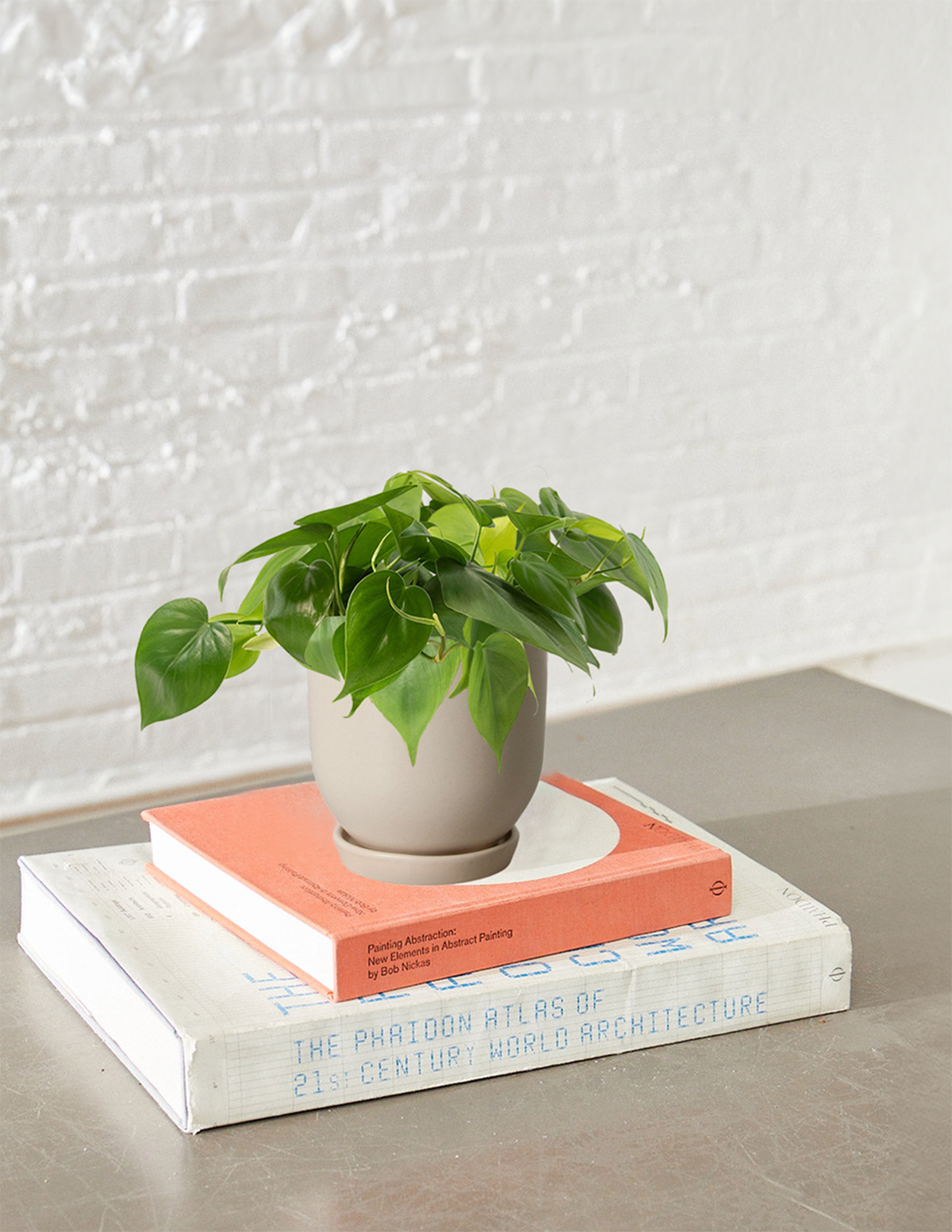 files/the-sill_westcott_philodendron_lifestyle1.png