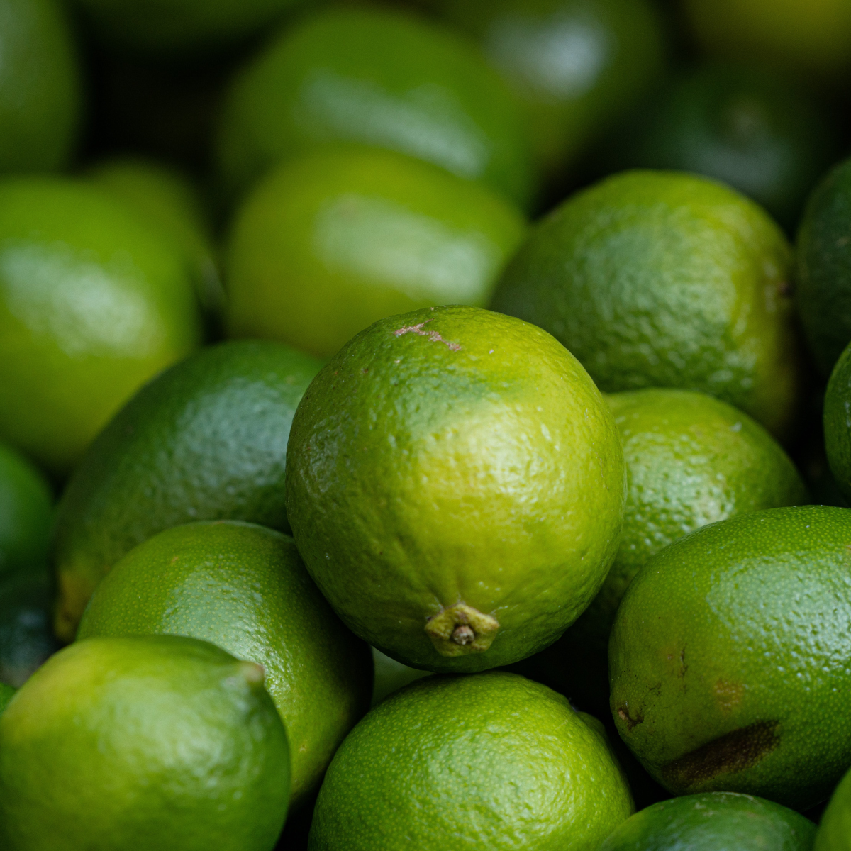 Key Lime Tree
