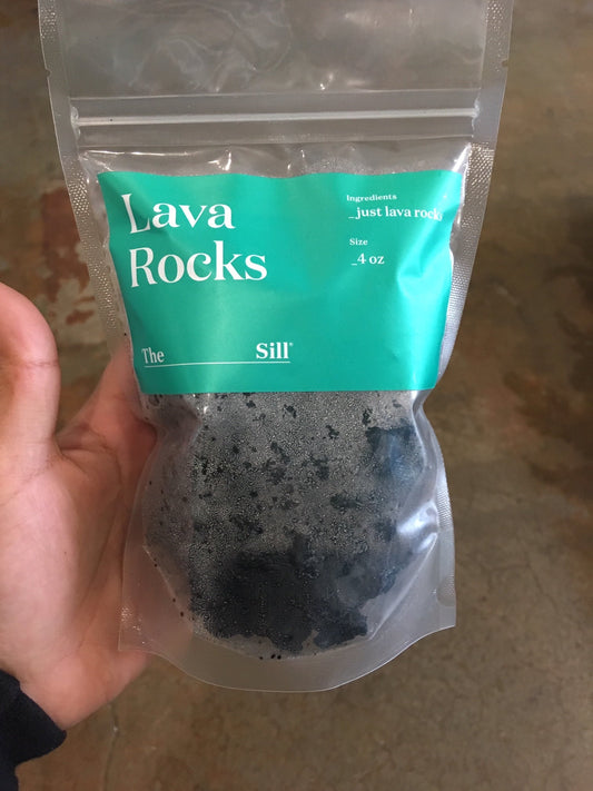 4oz Lava Rocks - The Sill | Indoor Plants
