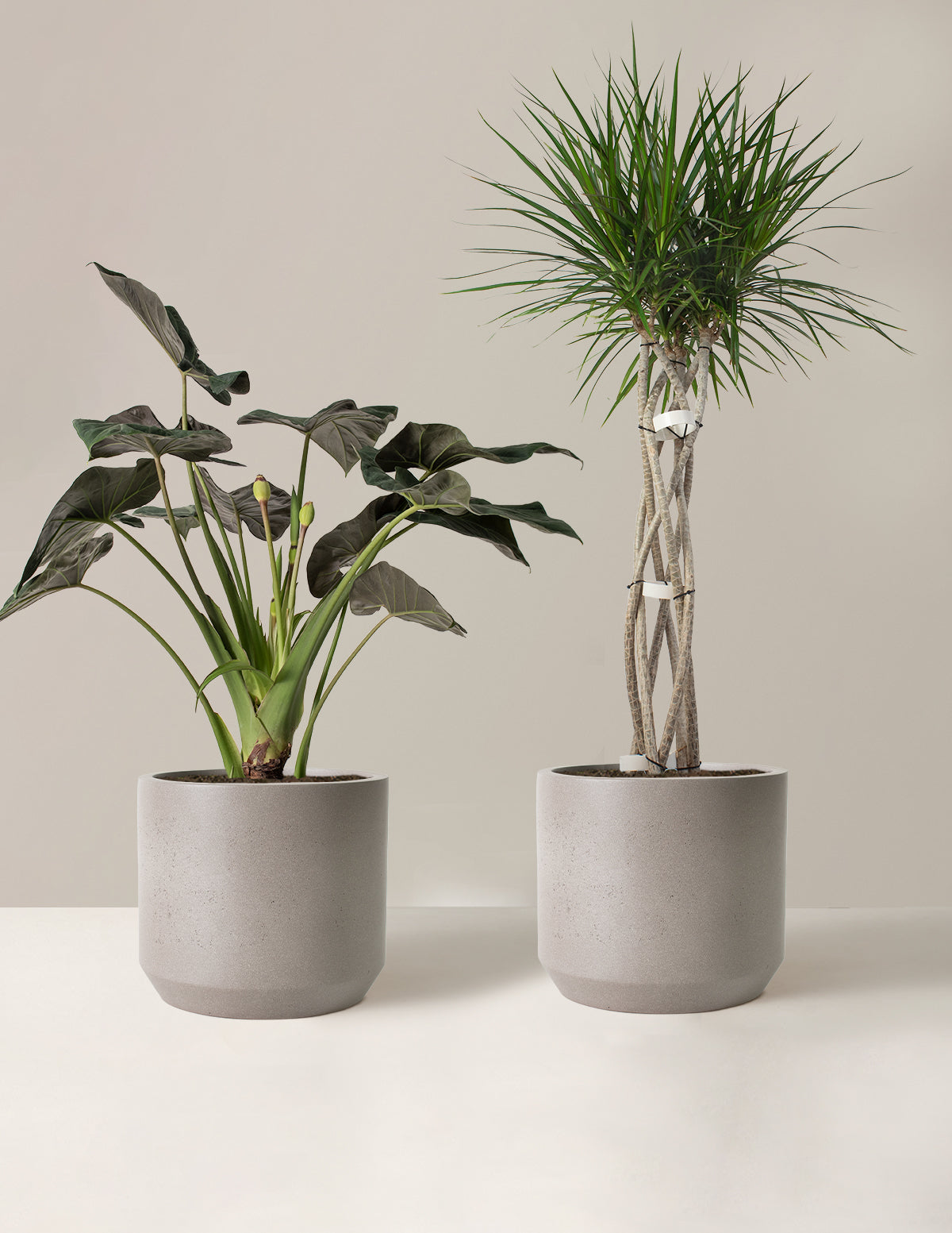 bundle | Large | Mexia | Cement Grey