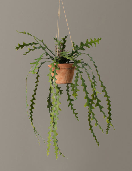 Faux Succulent Potted Ric Rac Cactus | Best Artificial Houseplants