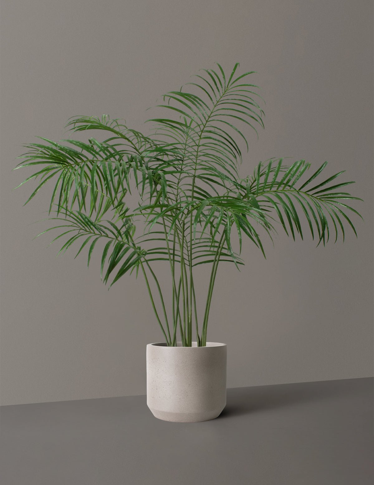 Faux Palm Tree