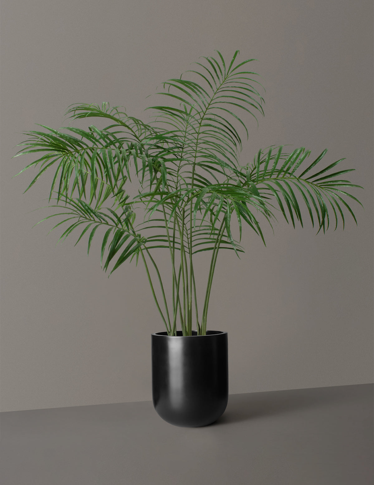 Faux Palm Tree