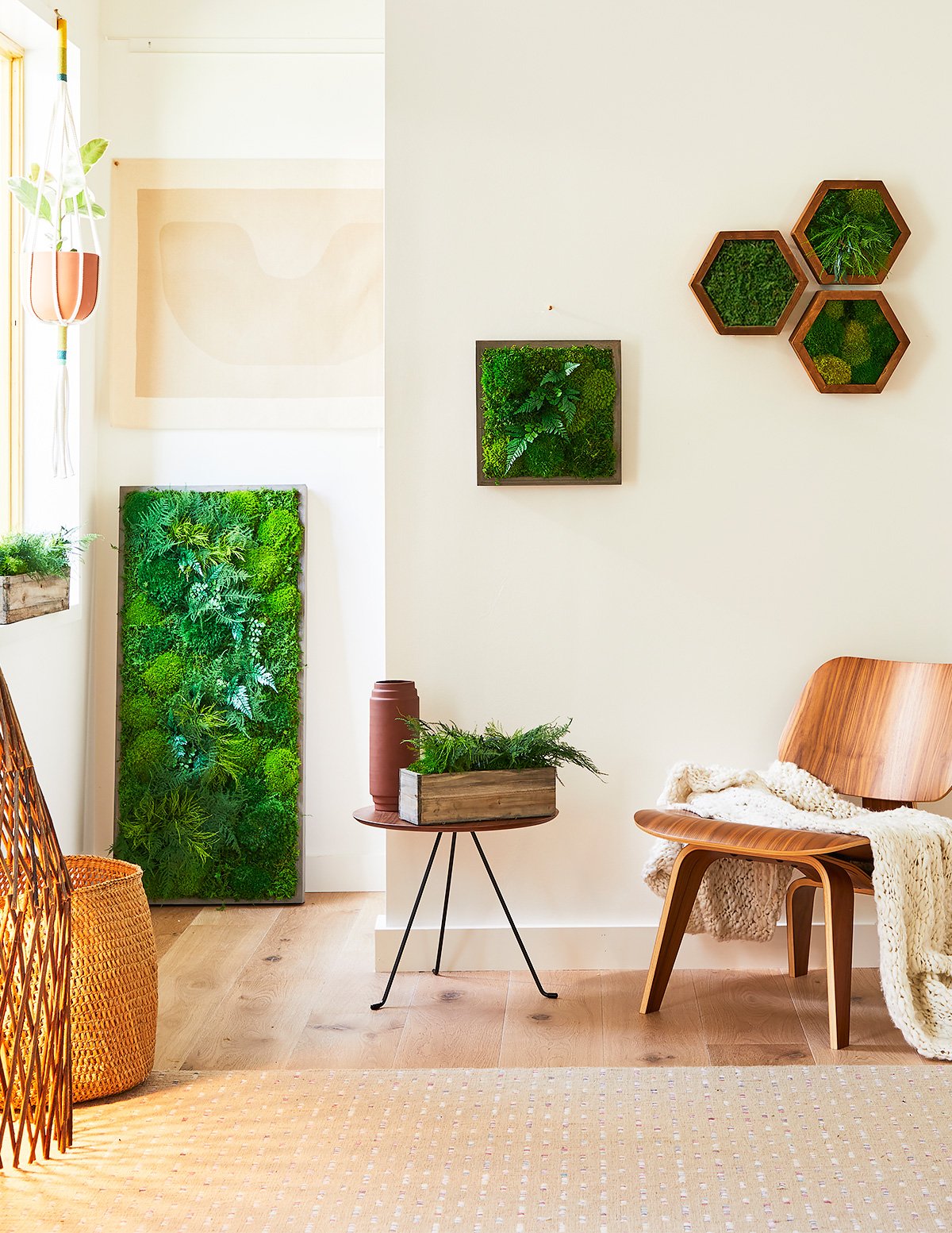 living wall plants indoor Small Preserved Living Wall | Moss Wall Art | Free Delivery