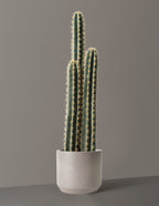 Artificial Floor Cactus