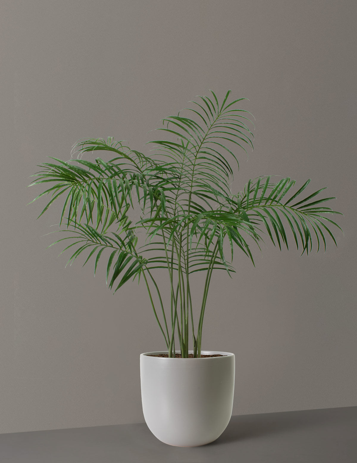 Faux Palm Tree