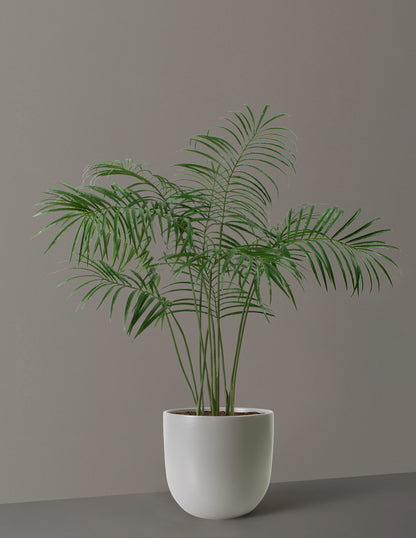 Faux Palm Tree