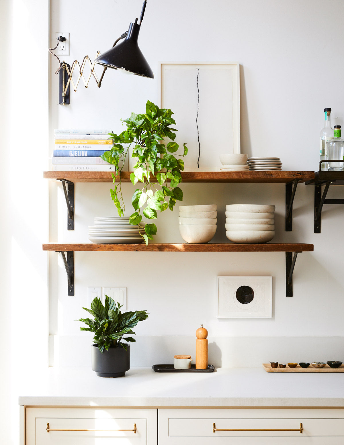 Faux Pothos Plant