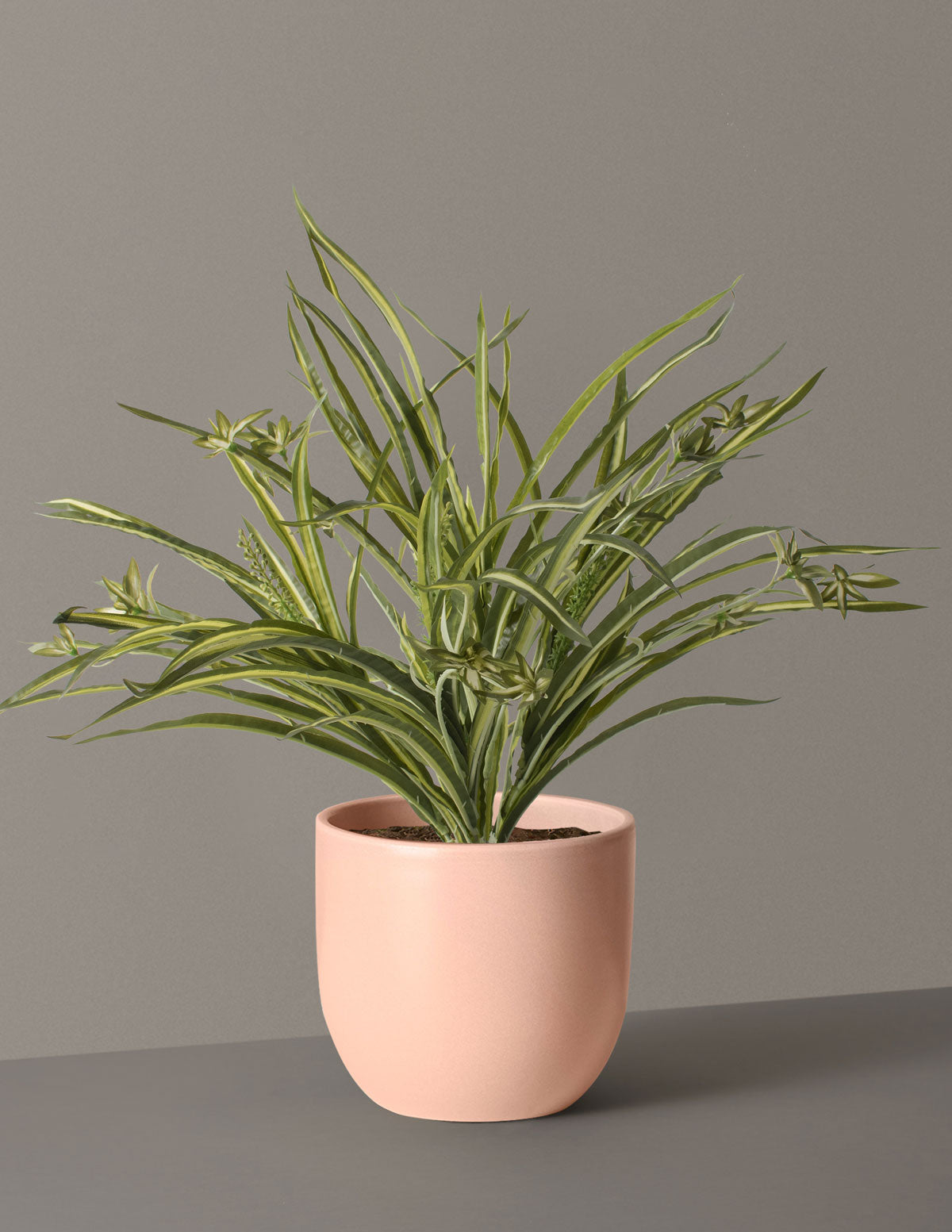Faux Spider Plant