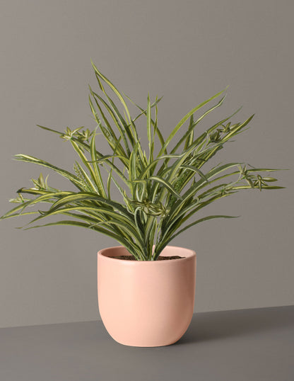 Faux Spider Plant