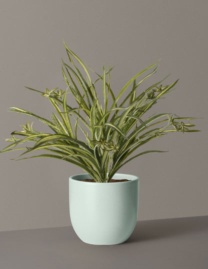 Faux Spider Plant