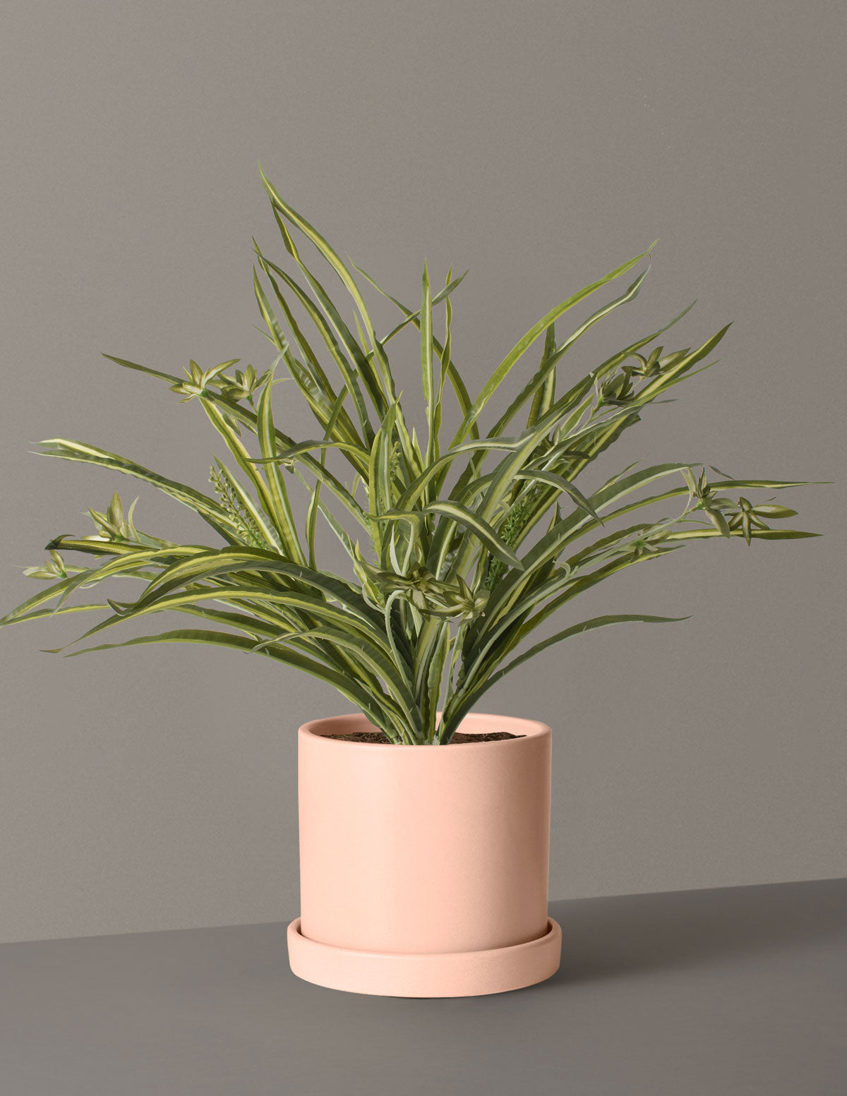 Faux Spider Plant