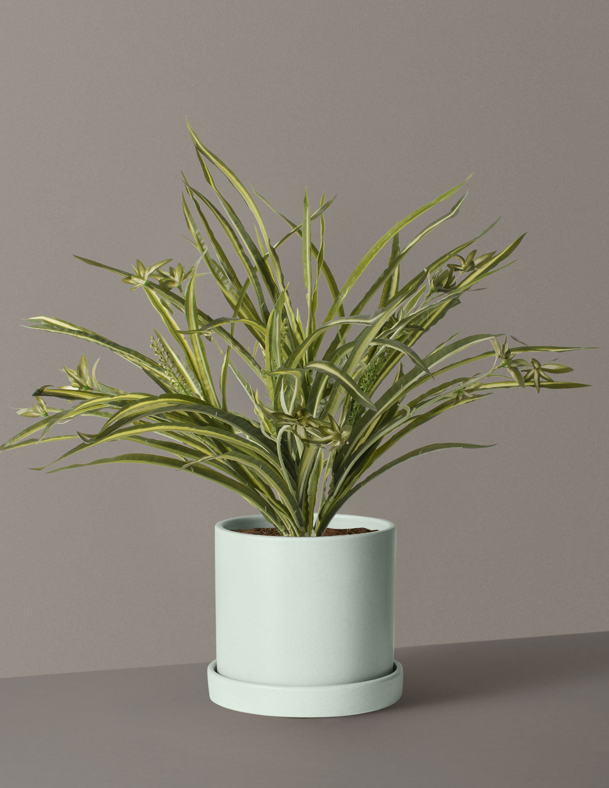 Faux Spider Plant