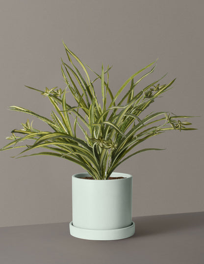 Faux Spider Plant