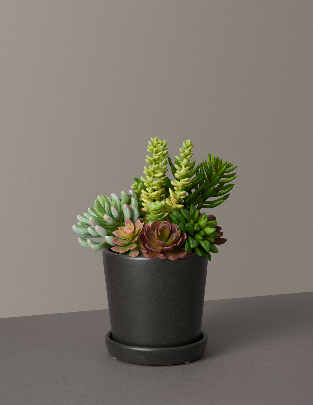 Faux Succulent Arrangement