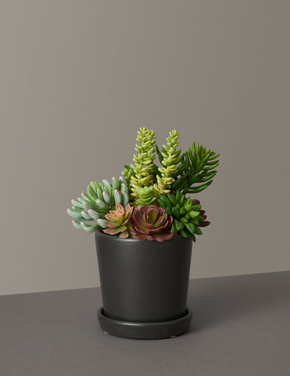 Faux Succulent Arrangement