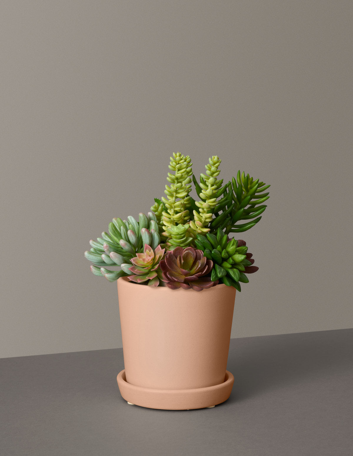 Faux Succulent Arrangement