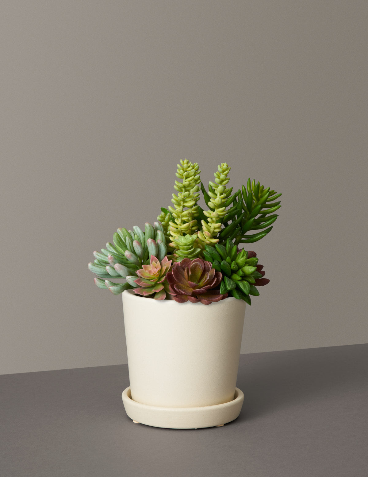 Faux Succulent Arrangement