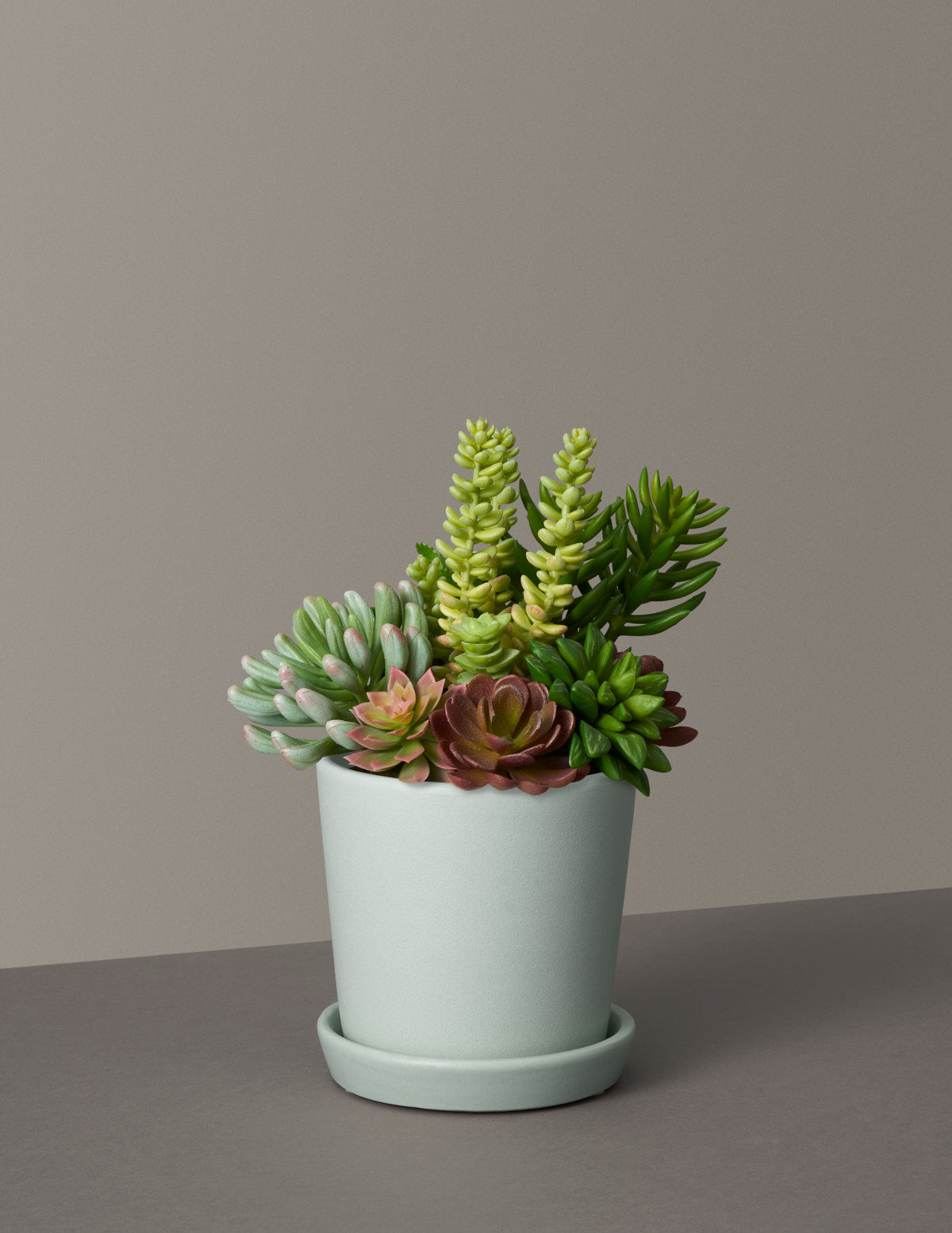 Faux Succulent Arrangement