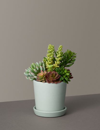 Faux Succulent Arrangement